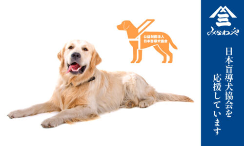 日本盲導犬協会を応援しています